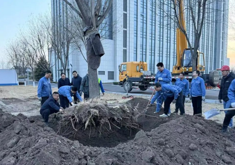 1751274209446196.png 1751274186770.png